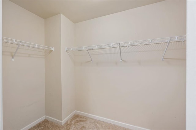 walk in closet with carpet floors