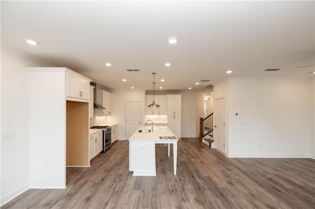 706 Dodd Ln Unit 157, Buford, GA 30518 - kitchen with stainless steel range with gas stovetop, a sink, a kitchen bar, a kitchen island with sink, and recessed lighting