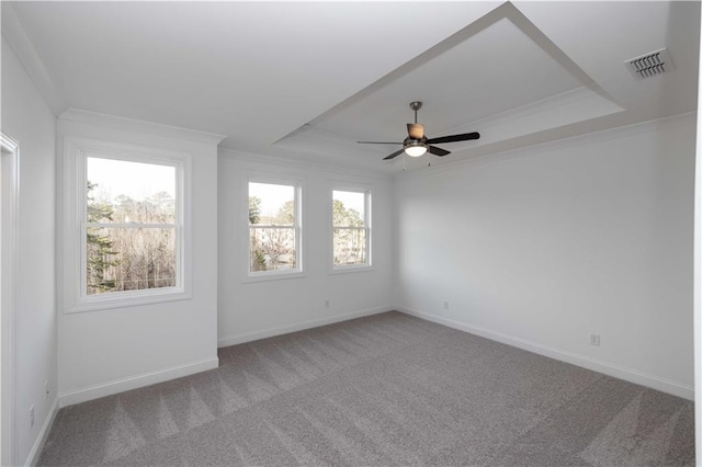 706 Dodd Ln Unit 157, Buford, GA 30518 - spare room with a tray ceiling, crown molding, carpet flooring, ceiling fan, and baseboards