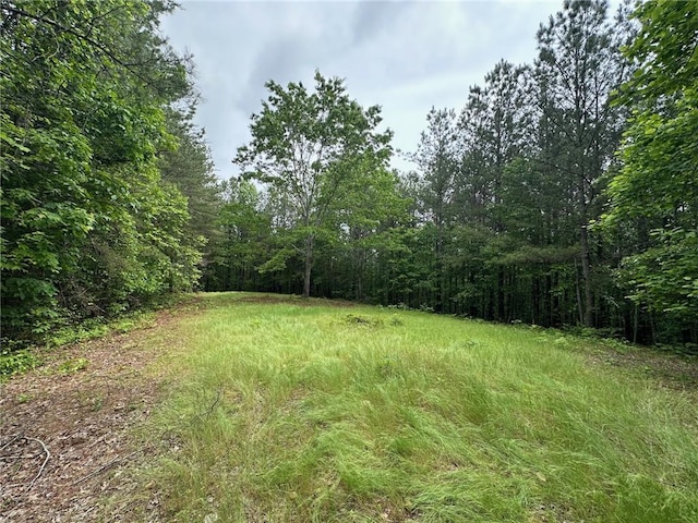 6.5-/ Larmon Frks, Dahlonega, GA 30533