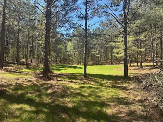 6.5-/ Larmon Frks, Dahlonega, GA 30533