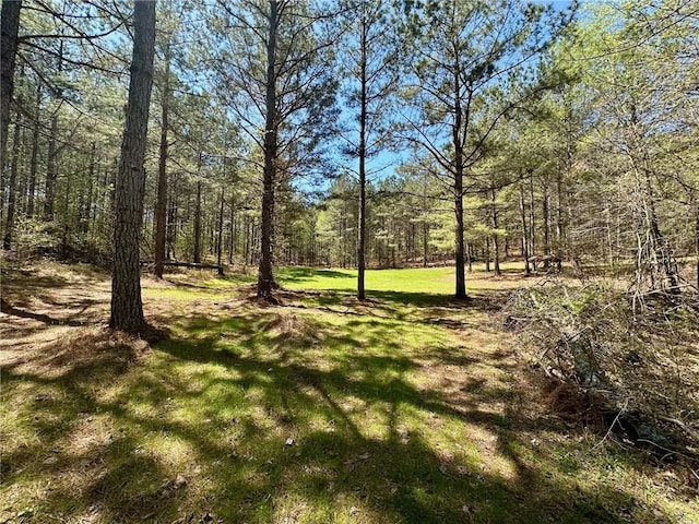6.5-/ Larmon Frks, Dahlonega, GA 30533