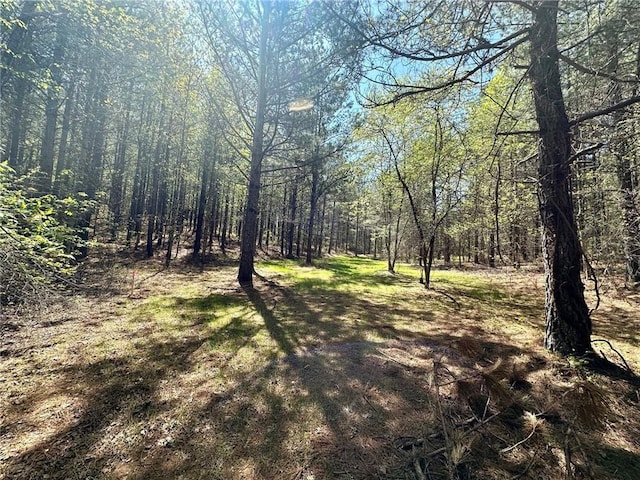 6.5-/ Larmon Frks, Dahlonega, GA 30533