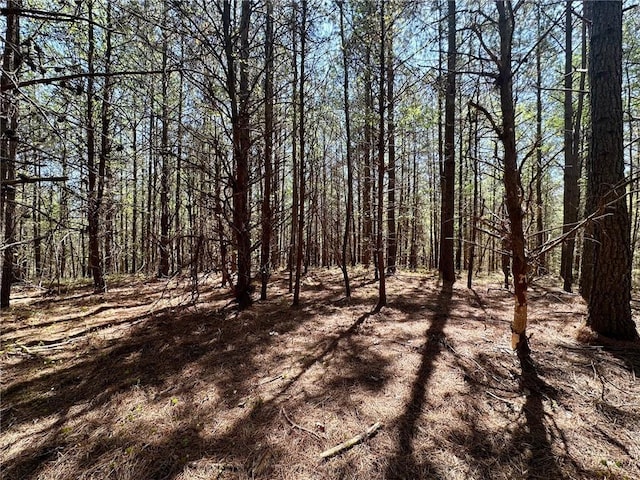 6.5-/ Larmon Frks, Dahlonega, GA 30533