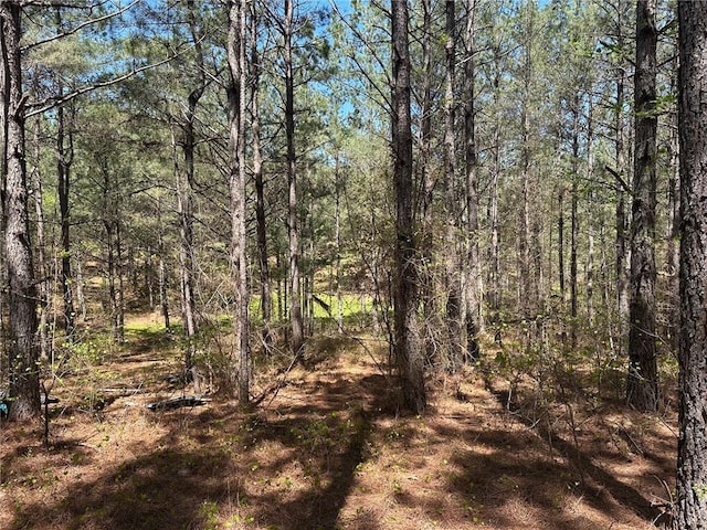 6.5-/ Larmon Frks, Dahlonega, GA 30533
