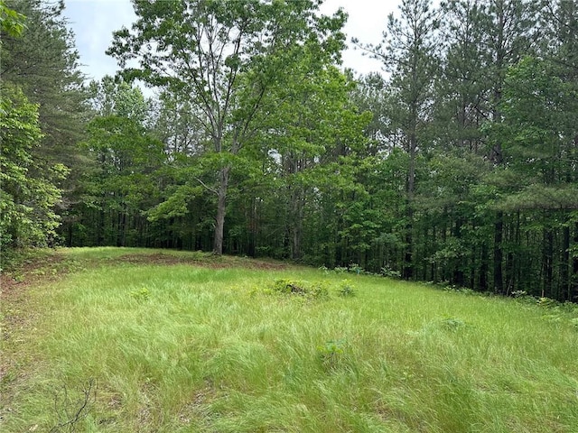 6.5-/ Larmon Frks, Dahlonega, GA 30533