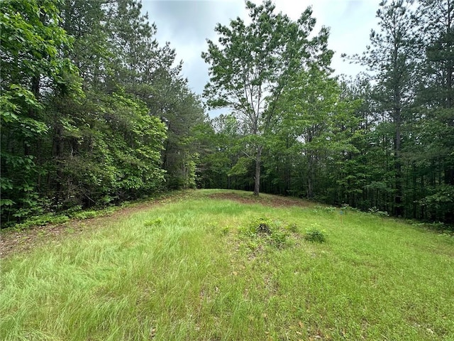 6.5-/ Larmon Frks, Dahlonega, GA 30533