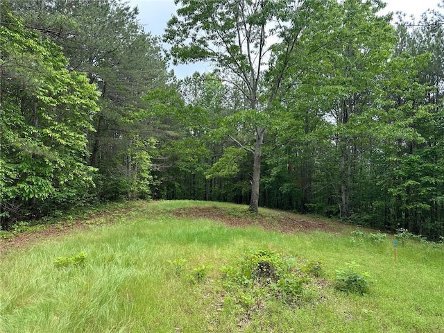 6.5-/ Larmon Frks, Dahlonega, GA 30533