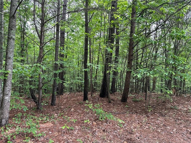 6.5-/ Larmon Frks, Dahlonega, GA 30533