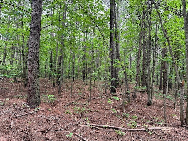 6.5-/ Larmon Frks, Dahlonega, GA 30533