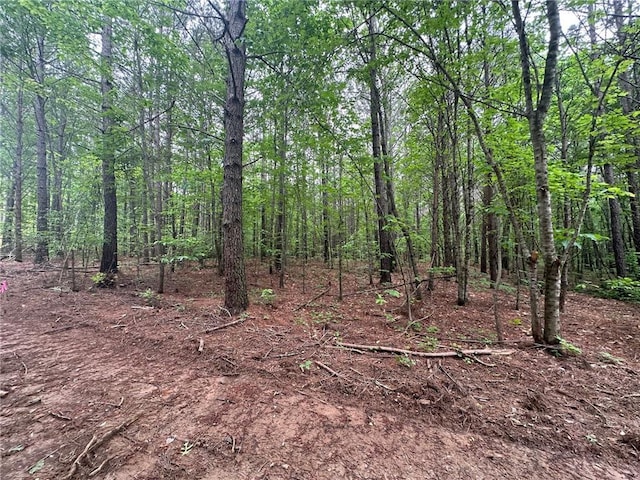 6.5-/ Larmon Frks, Dahlonega, GA 30533