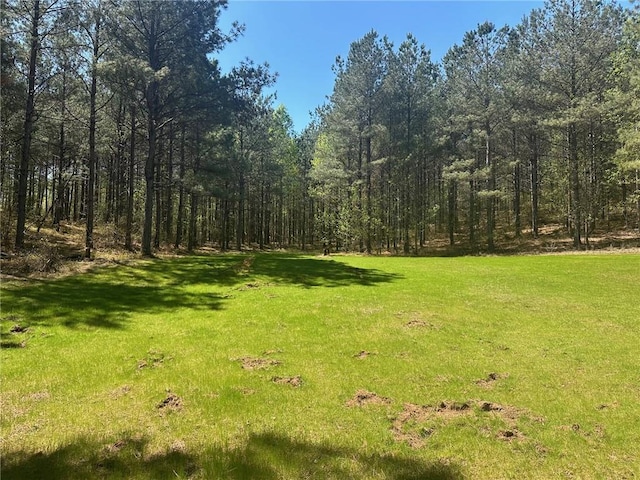 6.5-/ Larmon Frks, Dahlonega, GA 30533