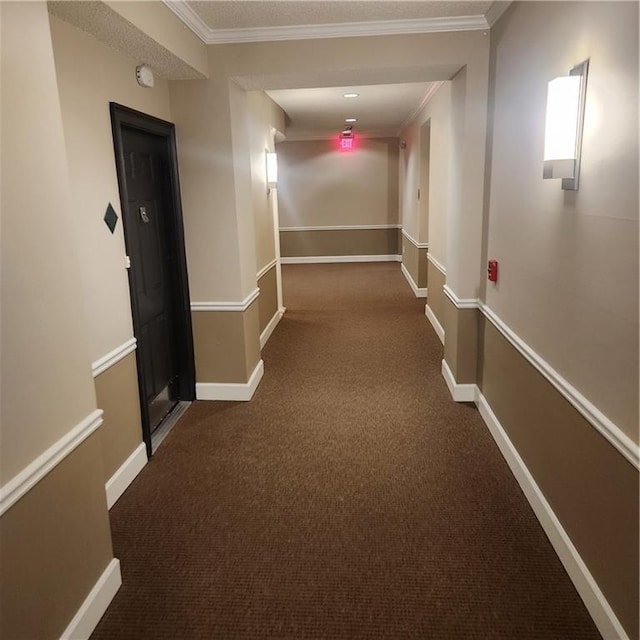 hallway featuring carpet and ornamental molding