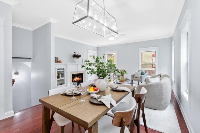 dining area with baseboards, ornamental molding, wood finished floors, and a lit fireplace