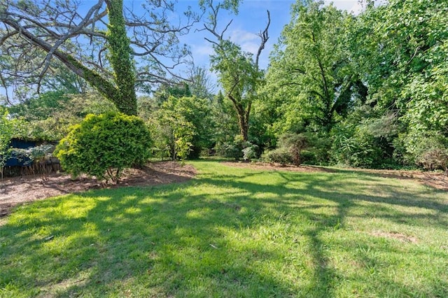 1643 Flintwood Dr SE, Atlanta, GA 30316 - view of green lawn