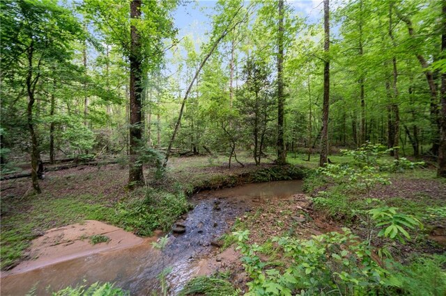 1447 Travis Smith Rd, Clarkesville, GA 30523 - view of undeveloped land