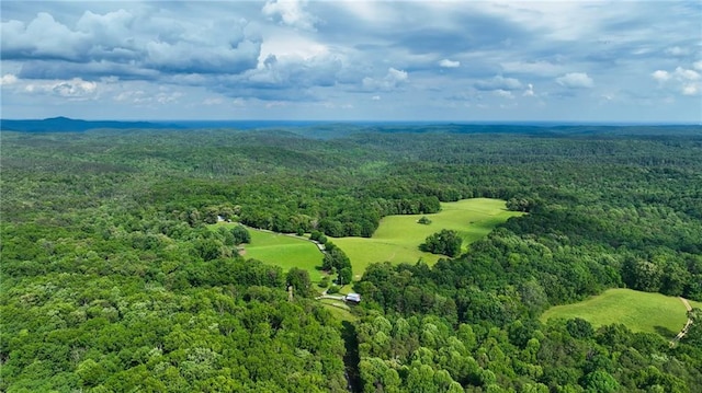 1447 Travis Smith Rd, Clarkesville, GA 30523 - aerial view of a forest
