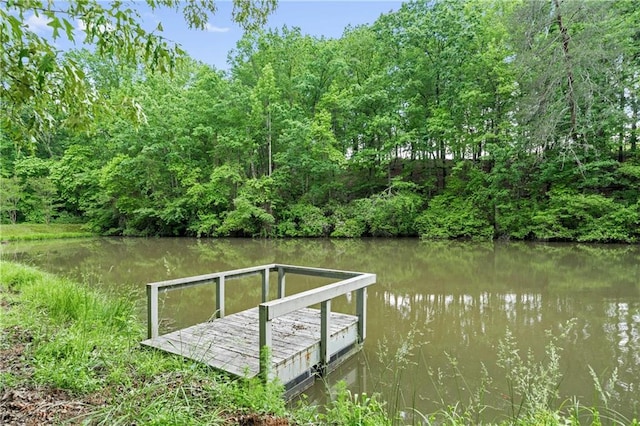 1447 Travis Smith Rd, Clarkesville, GA 30523 - dock area with a water view