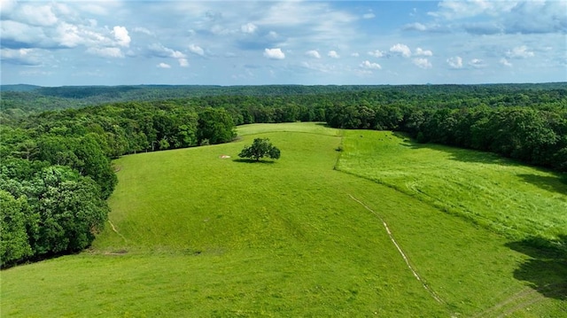 1447 Travis Smith Rd, Clarkesville, GA 30523 - bird's eye view of a forest