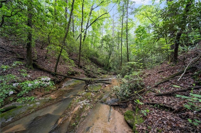 1447 Travis Smith Rd, Clarkesville, GA 30523 - view of street with a view of trees