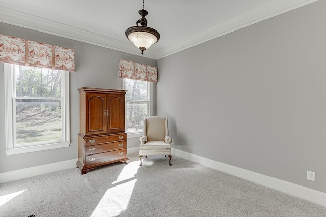 sitting room featuring baseboards, carpet, and crown molding
