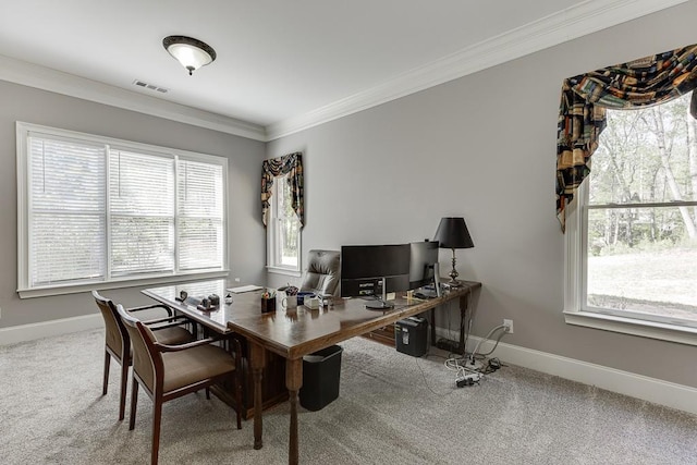 office with carpet floors, visible vents, baseboards, and ornamental molding