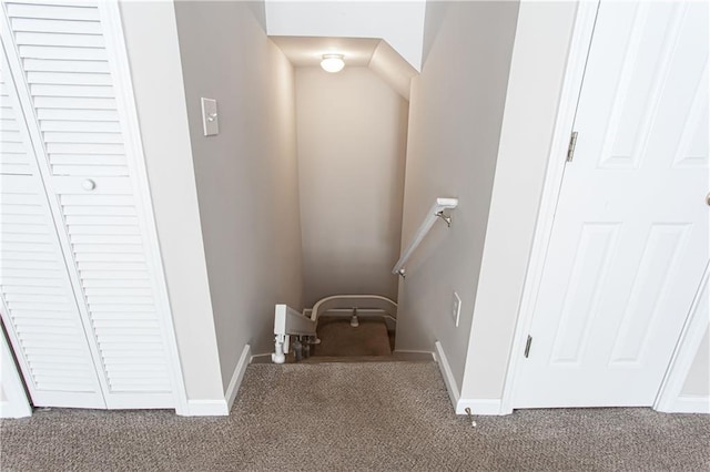 interior space featuring carpet floors