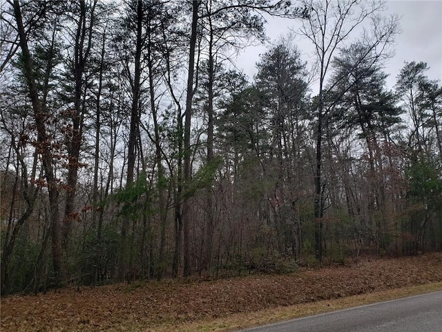 Listing photo 3 for 00 Jenny Cove Rd, Cleveland GA 30528