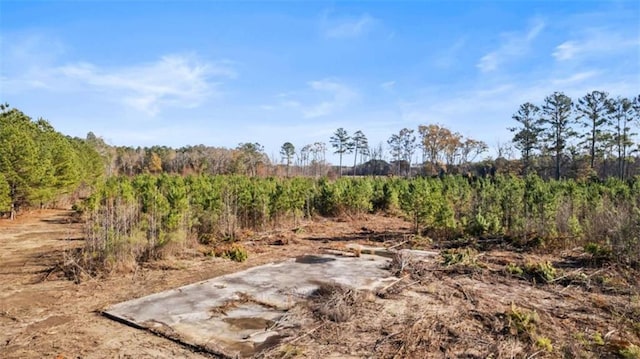 1865 Morton Bend Rd, Rome, GA 30161 - view of yard featuring a view of countryside