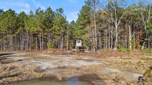 1865 Morton Bend Rd, Rome, GA 30161 - view of yard featuring a forest view