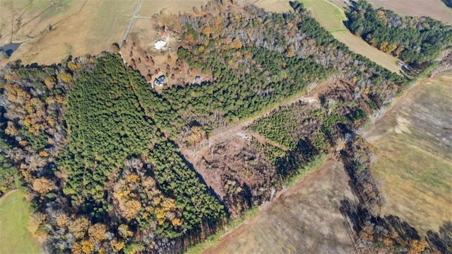 1865 Morton Bend Rd, Rome, GA 30161 - aerial overview of property's location with rural landscape