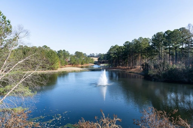 property view of water