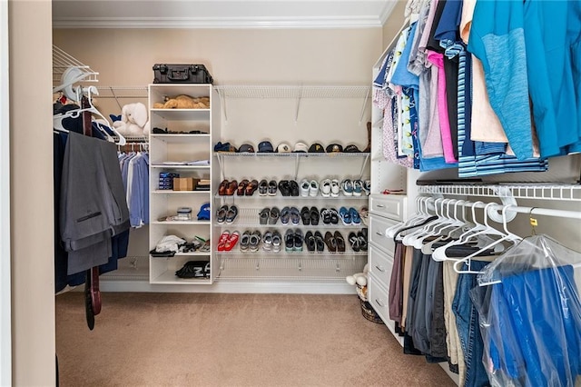 6191 Talmadge Run, Acworth, GA 30101 - walk in closet with carpet floors