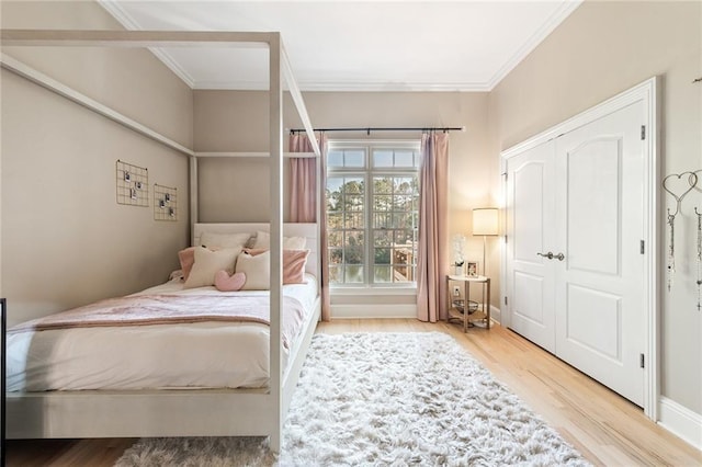 6191 Talmadge Run, Acworth, GA 30101 - bedroom featuring ornamental molding and wood finished floors
