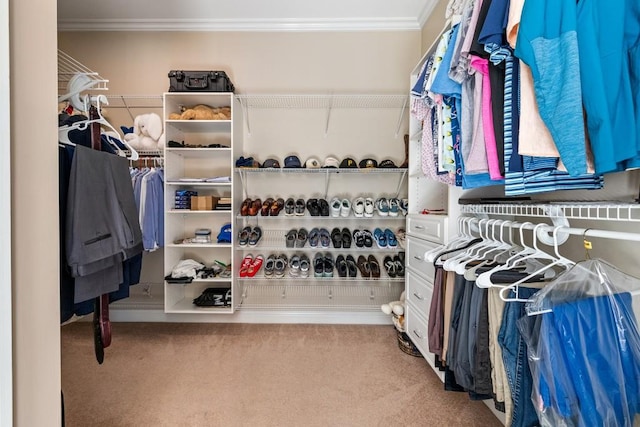 walk in closet featuring carpet