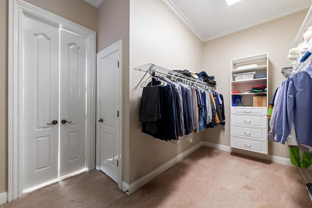 spacious closet with carpet flooring