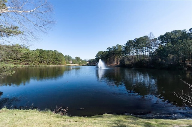 6191 Talmadge Run, Acworth, GA 30101 - view of water feature with a view of trees