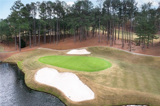 6191 Talmadge Run, Acworth, GA 30101 - view of home's community with a water view and golf course view