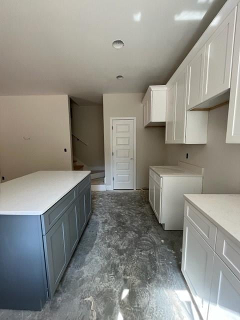 laundry room with cabinets