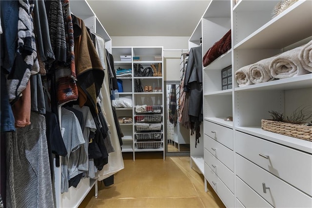 view of spacious closet