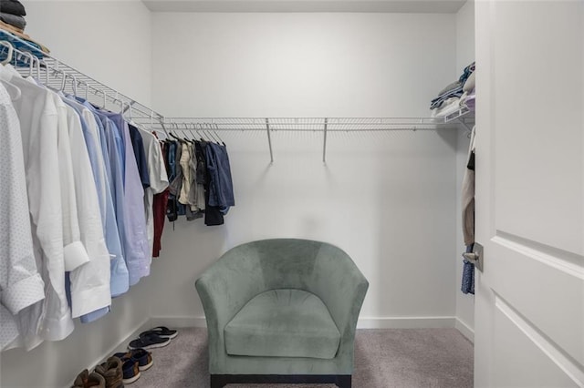 spacious closet with carpet flooring