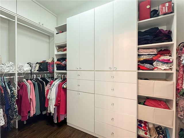 452 Brushstroke Ct SE, Marietta, GA 30067 - walk in closet with dark wood-style floors
