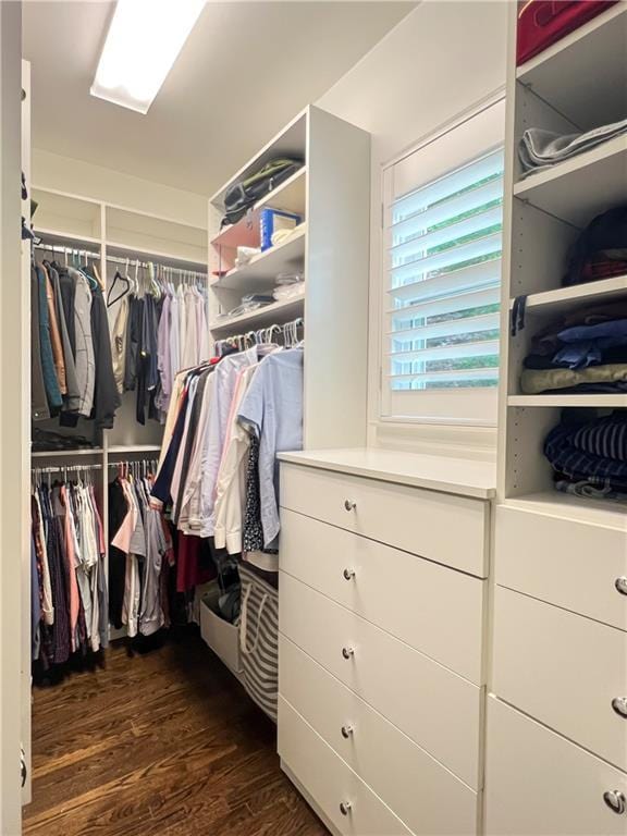 452 Brushstroke Ct SE, Marietta, GA 30067 - walk in closet with dark wood-style floors