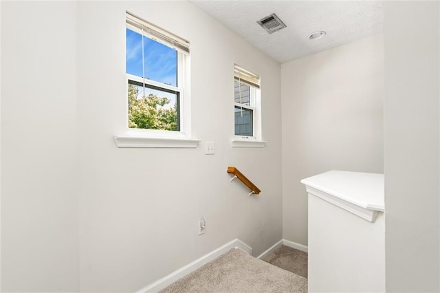 554 Rendevous Rd, Acworth, GA 30102 - washroom with carpet flooring, baseboards, and a textured ceiling
