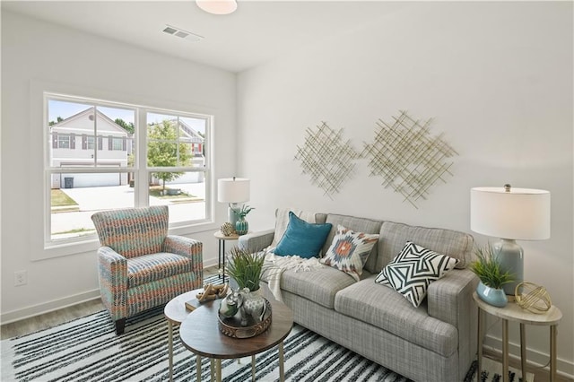 living room featuring wood-type flooring