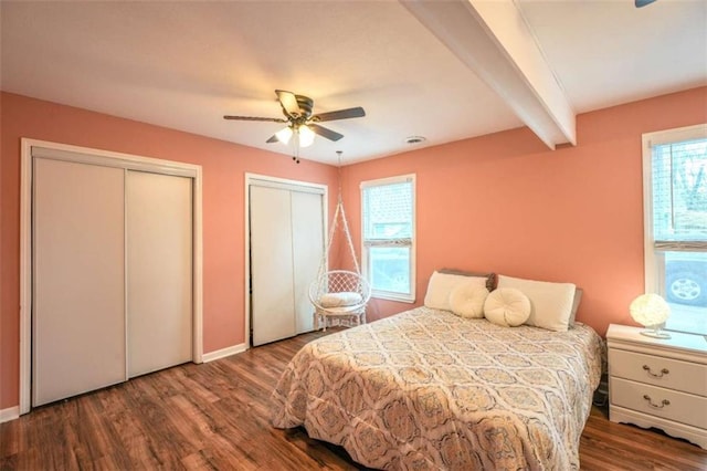 bedroom featuring ceiling fan, two closets, dark hardwood / wood-style floors, and beamed ceiling