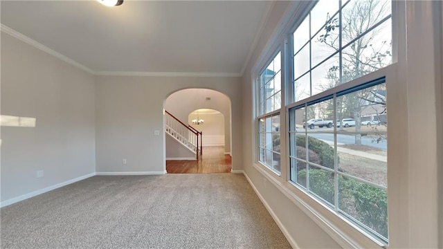 empty room with crown molding and carpet