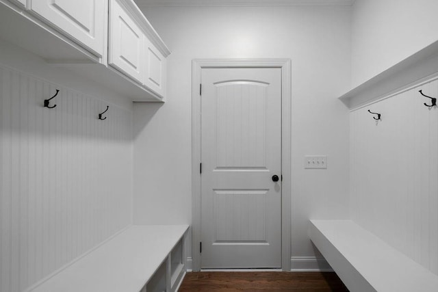 mudroom featuring dark hardwood / wood-style floors