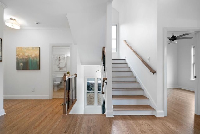 stairway featuring hardwood / wood-style flooring and crown molding