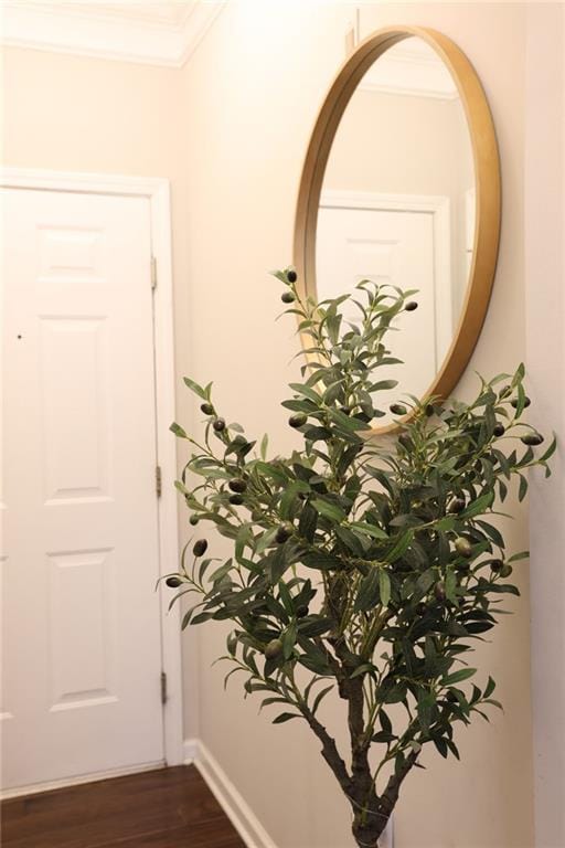 corridor featuring ornamental molding and dark hardwood / wood-style flooring